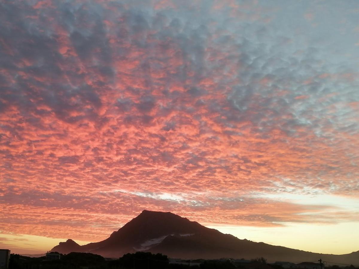 Just Chill Betty'S Bay Apartment Exterior foto
