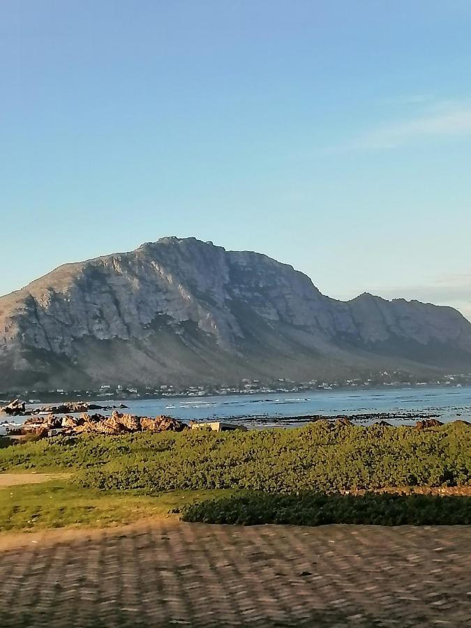 Just Chill Betty'S Bay Apartment Exterior foto